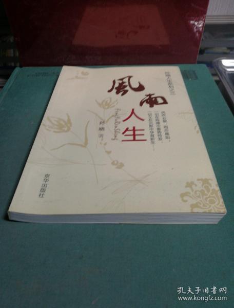 风雨人生