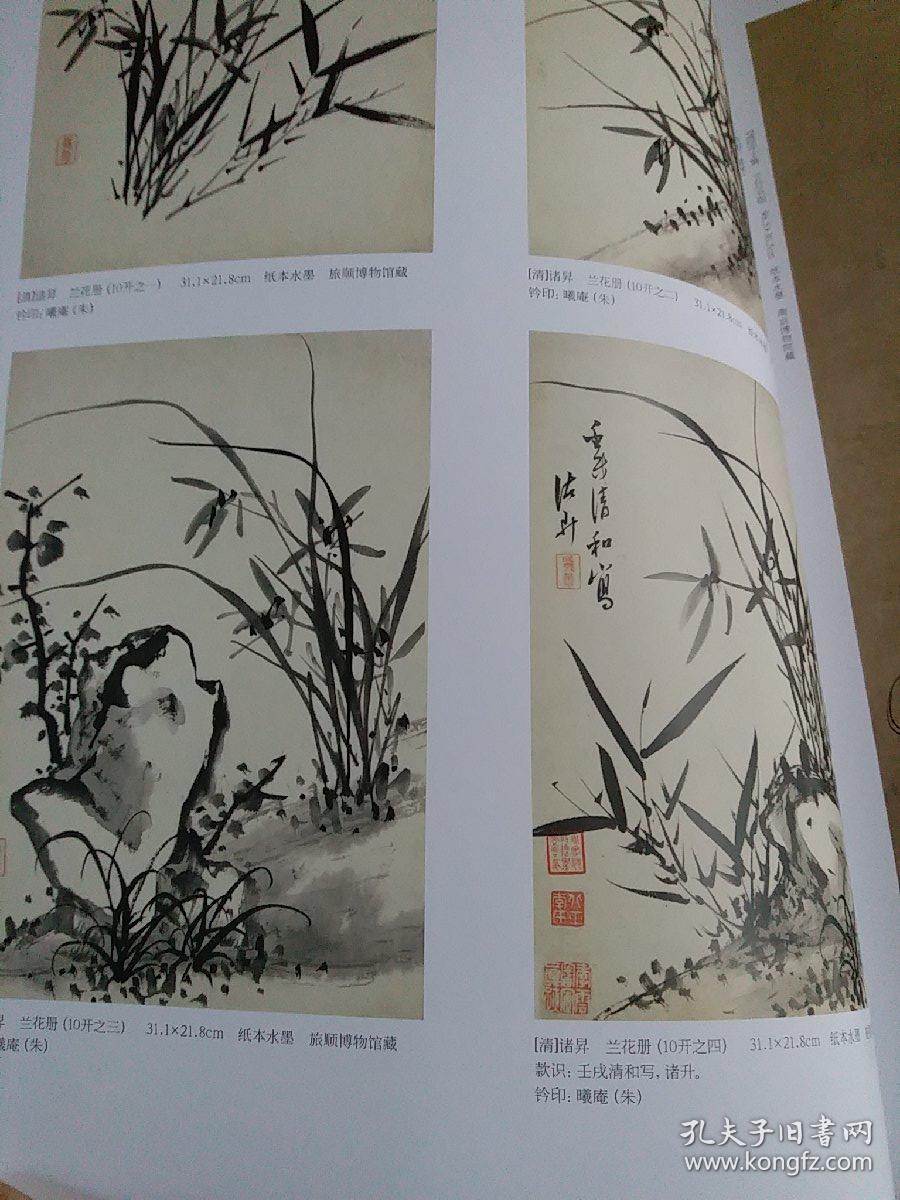 《文征明·猗兰竹石图》),历代兰花题材绘画浅说(赵孟頫,陈淳,徐渭