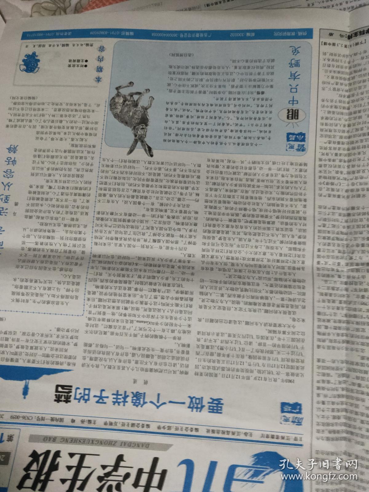 当代中学生报 2019-2020学年 新高考 新突破 语文阅读 第12期(a版)