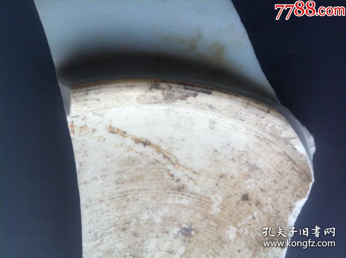 清雍正泥鳅背狮子腿标本博物馆科研教学专用考古发掘