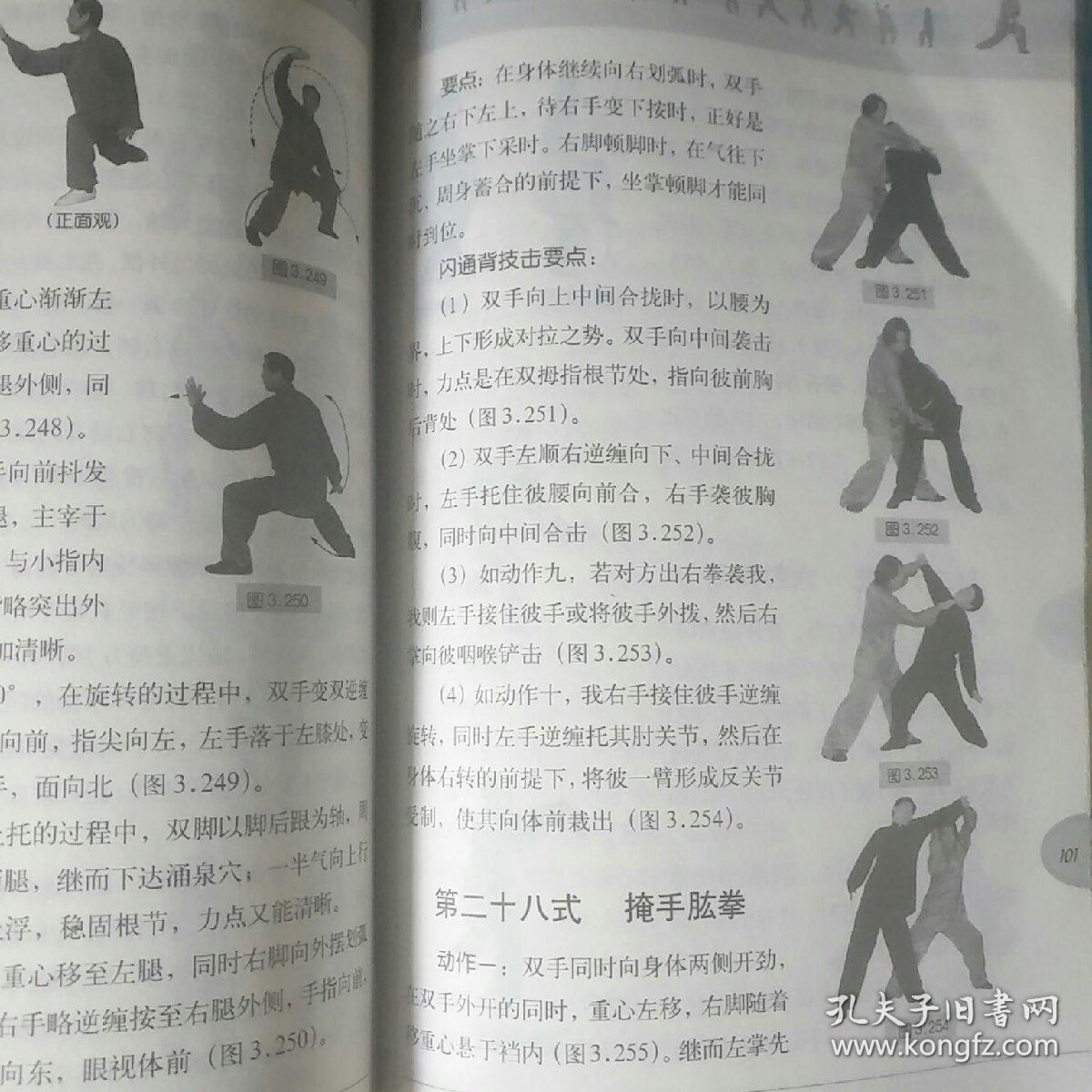 陈式太极拳·新架一路