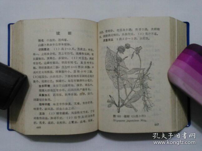 北方常用中草药手册包邮