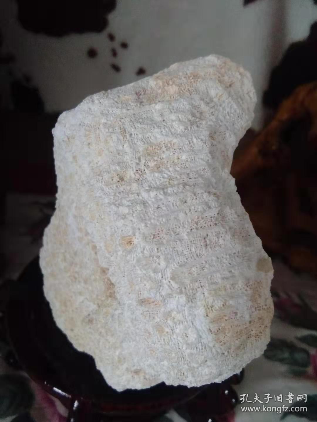 珊瑚玉化石原石(摆件)