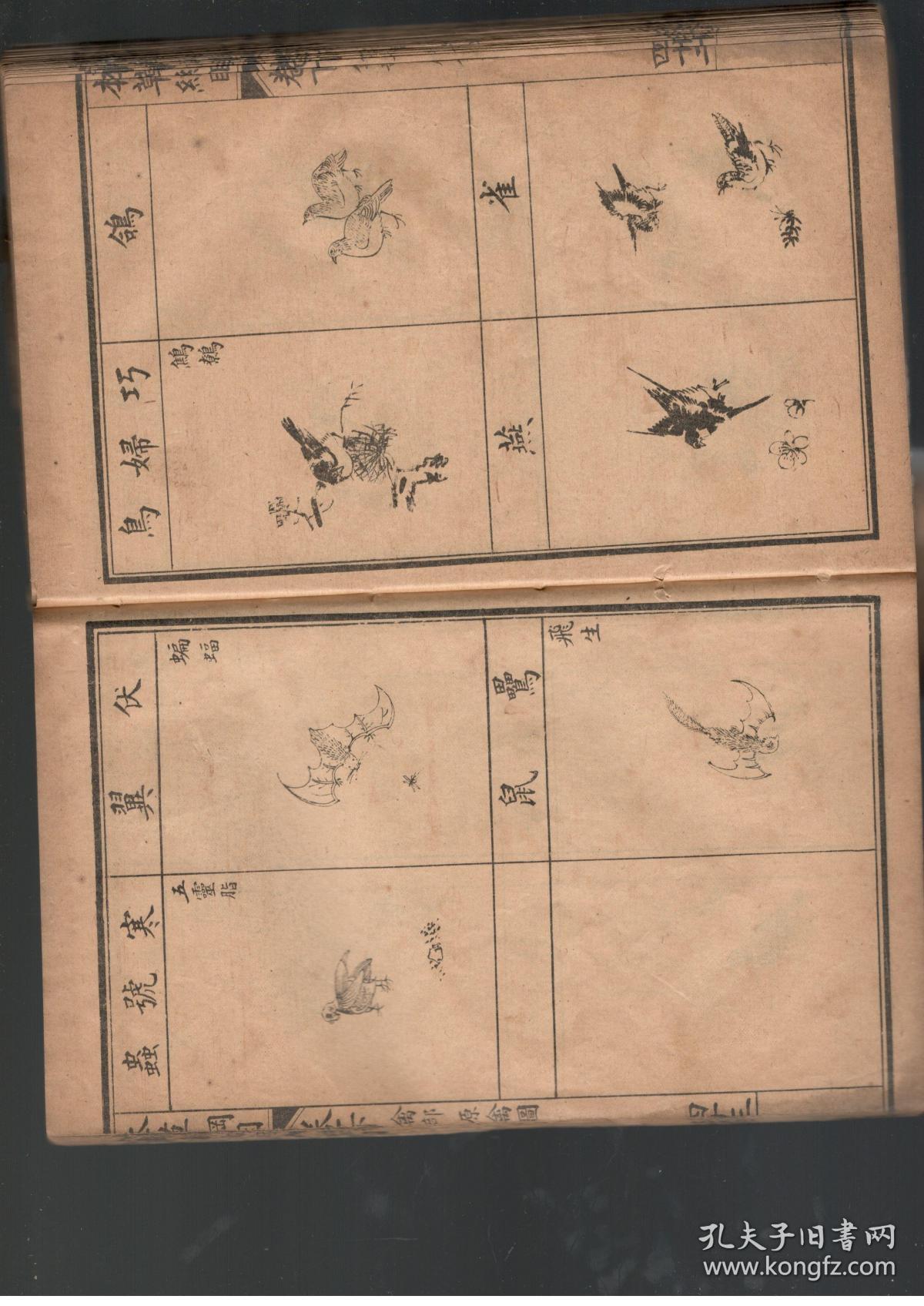 本草纲目简谱_本草纲目图片