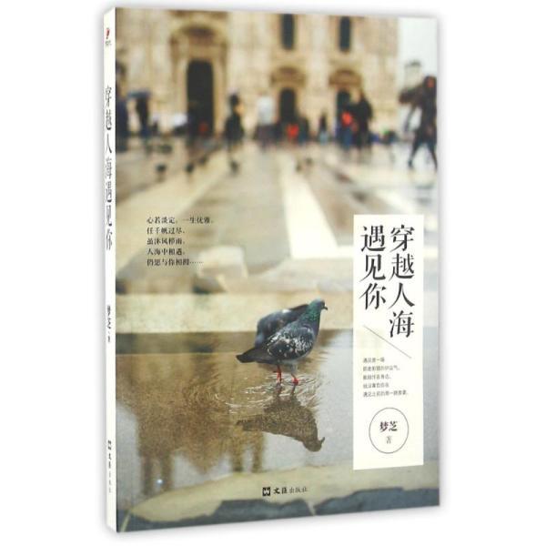 穿越人海遇见你