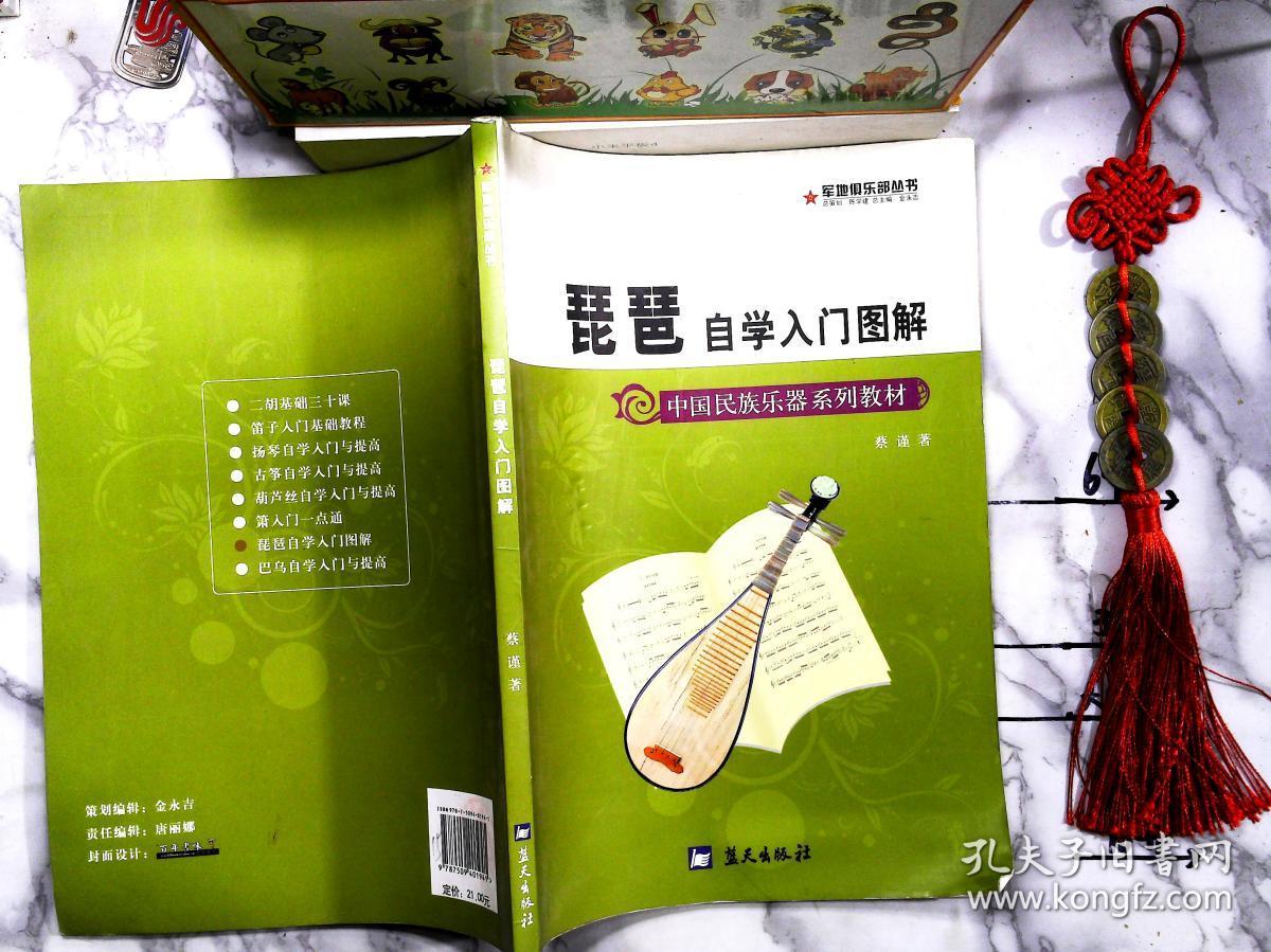 琵琶自学入门图解