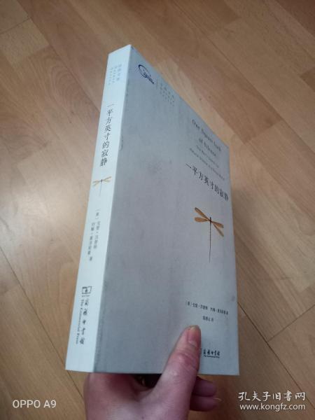 一平方英寸的寂静