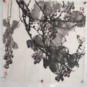著名画家裴玉林,号称 葡萄王,葡萄作品一副(保真)
