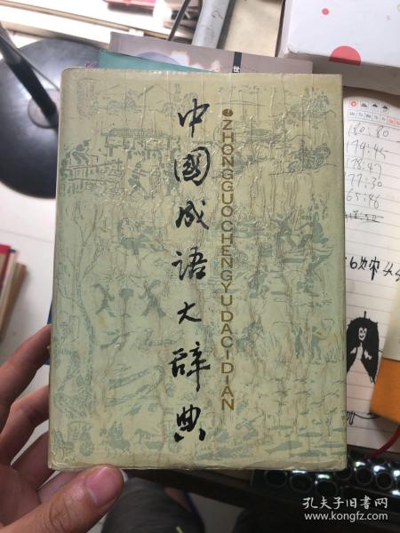 表表无无是什么成语_魂啥不舍是什么成语(2)