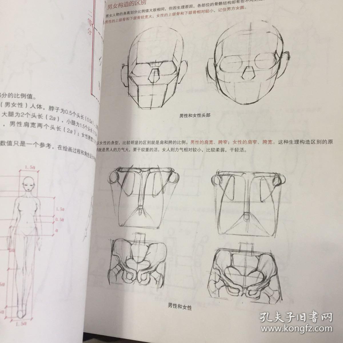 游戏动漫人体结构造型手绘技法