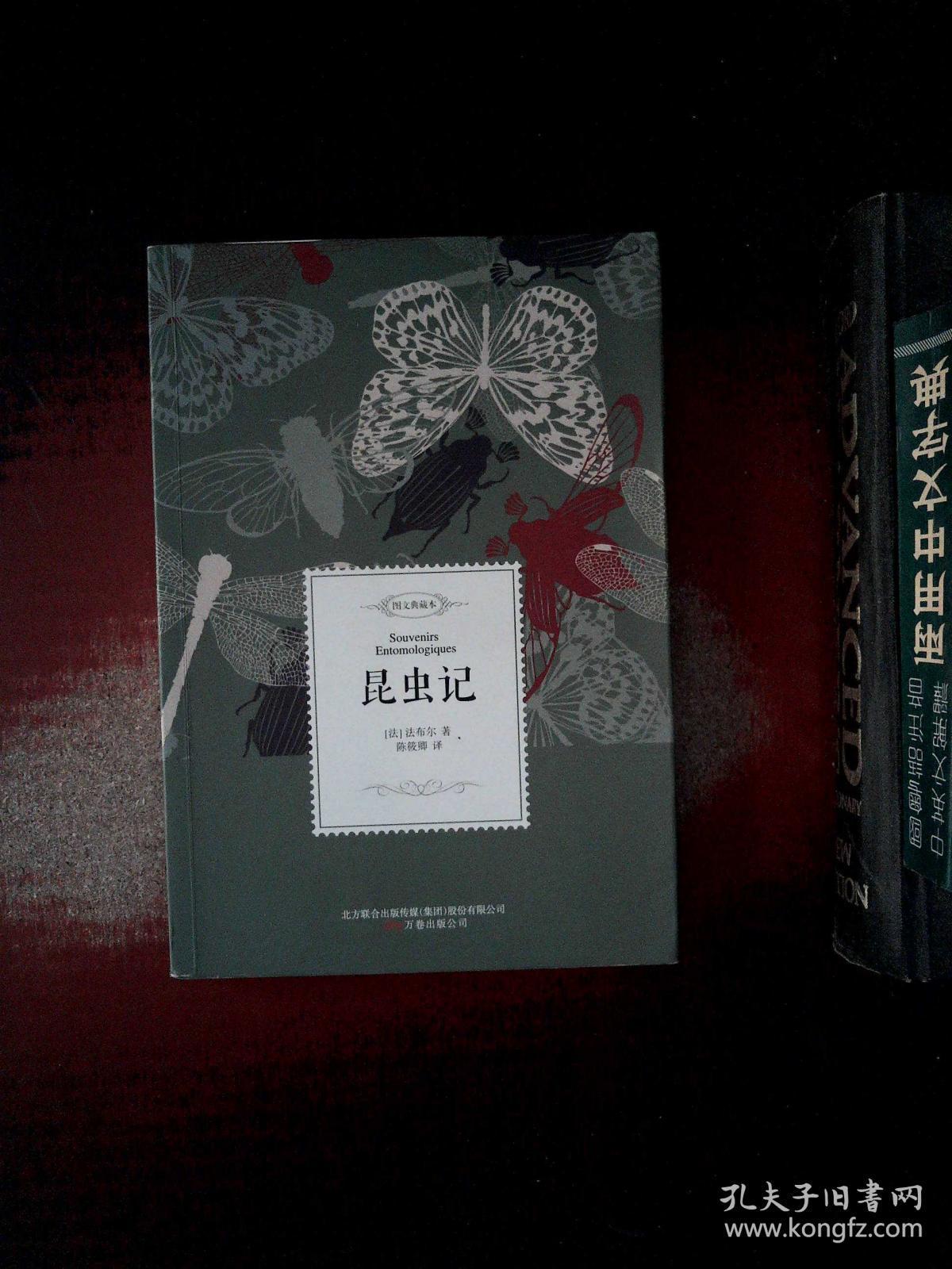 昆虫记/名家经典译丛