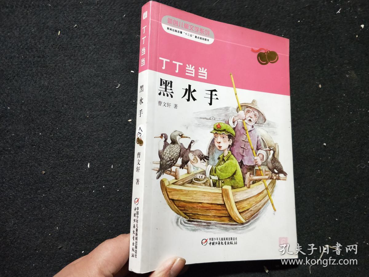 丁丁当当 黑水手