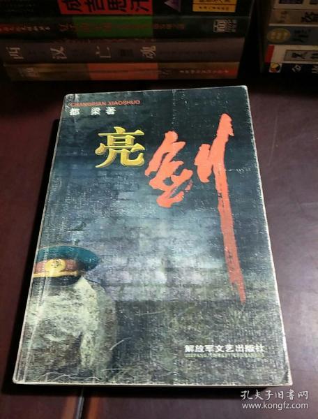 亮剑(都梁 著)_简介_价格_小说书籍_孔网