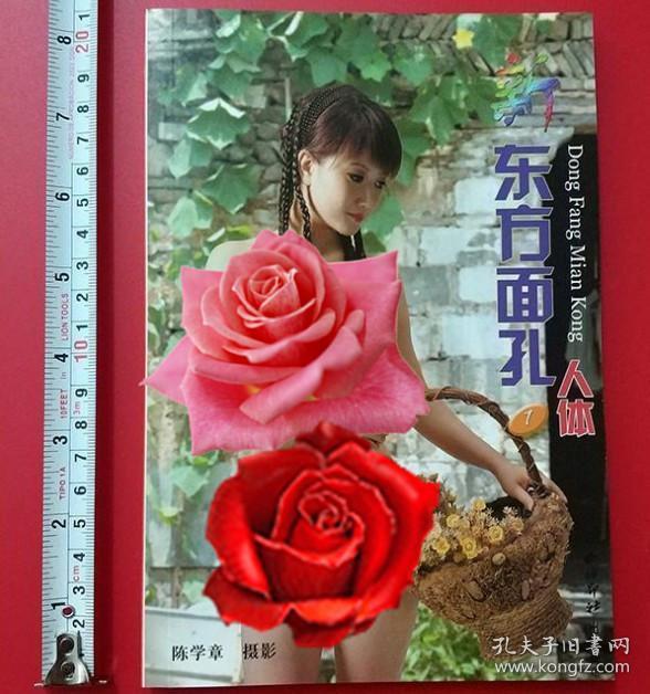 新东方面孔5册人与自然水乡山涧老房子田野篇4册水之歌上下册江南春韵
