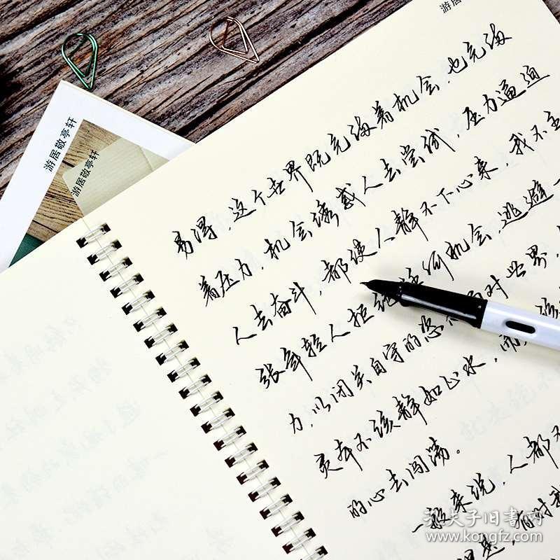 清秀大学生行书行草成年草书书法硬笔钢笔临摹成人写字帖手写体连笔字