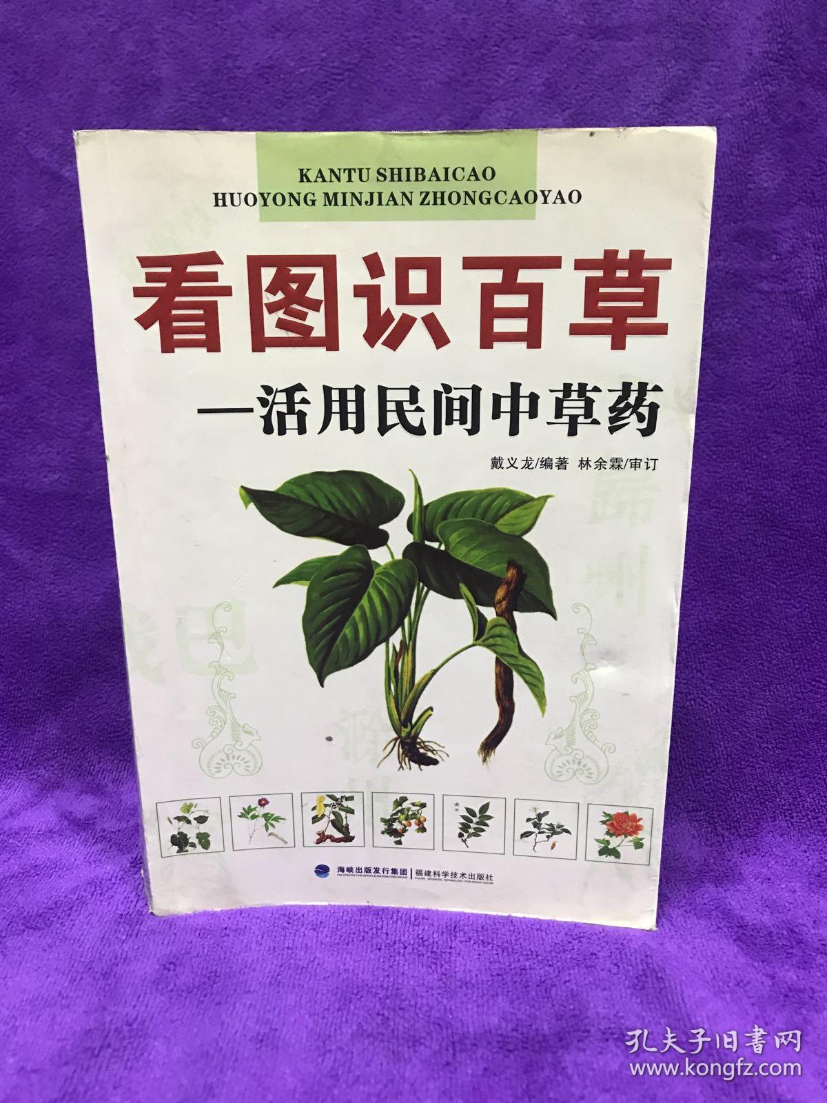 看图识百草:活用民间中草药