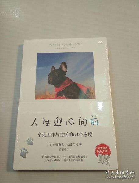 人生迎风向前:享受工作与生活的64个态度