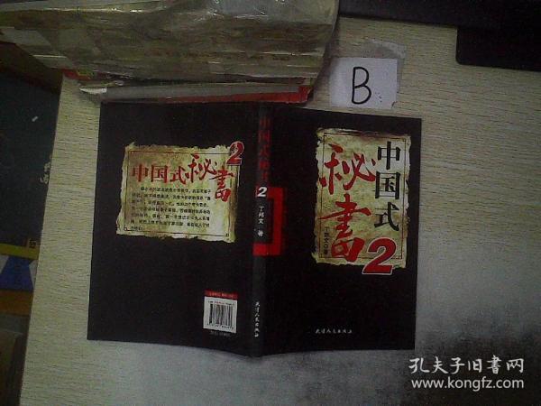 中国式秘书2