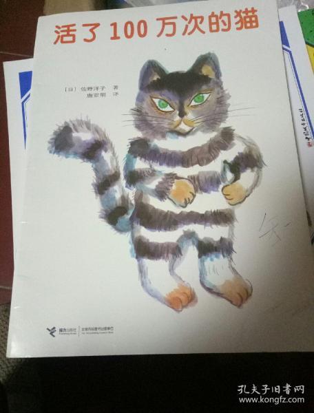 活了100万次的猫