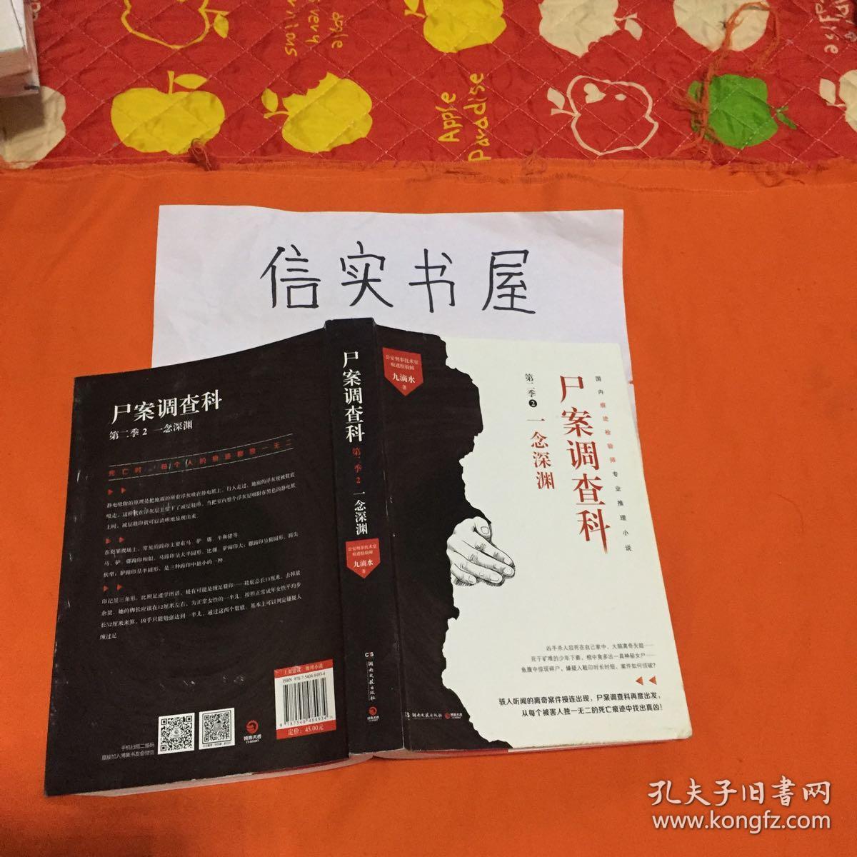 尸案调查科第二季2:一念深渊