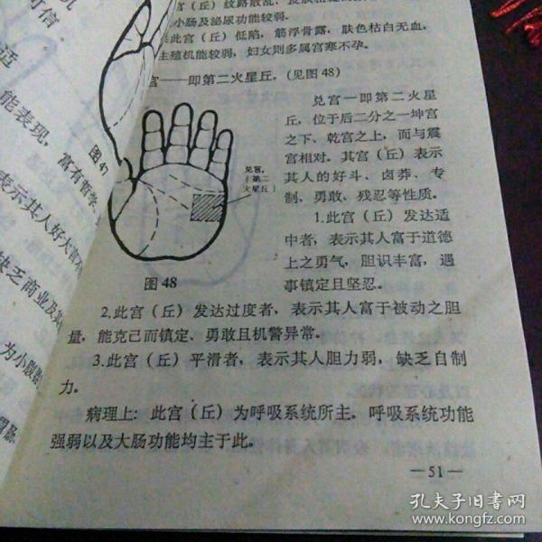 中国民俗文化丛书:掌相入门·中国手相学 (附录《古本《麻衣相法》七