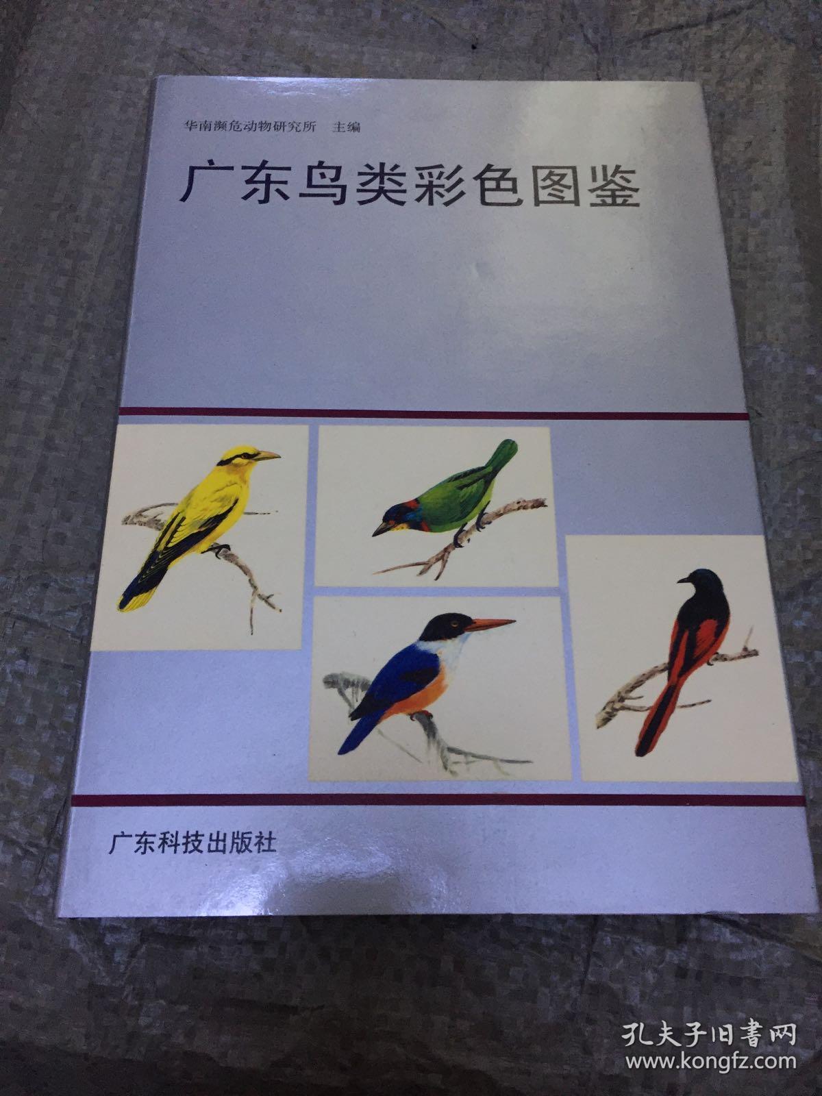 广东鸟类彩色图鉴