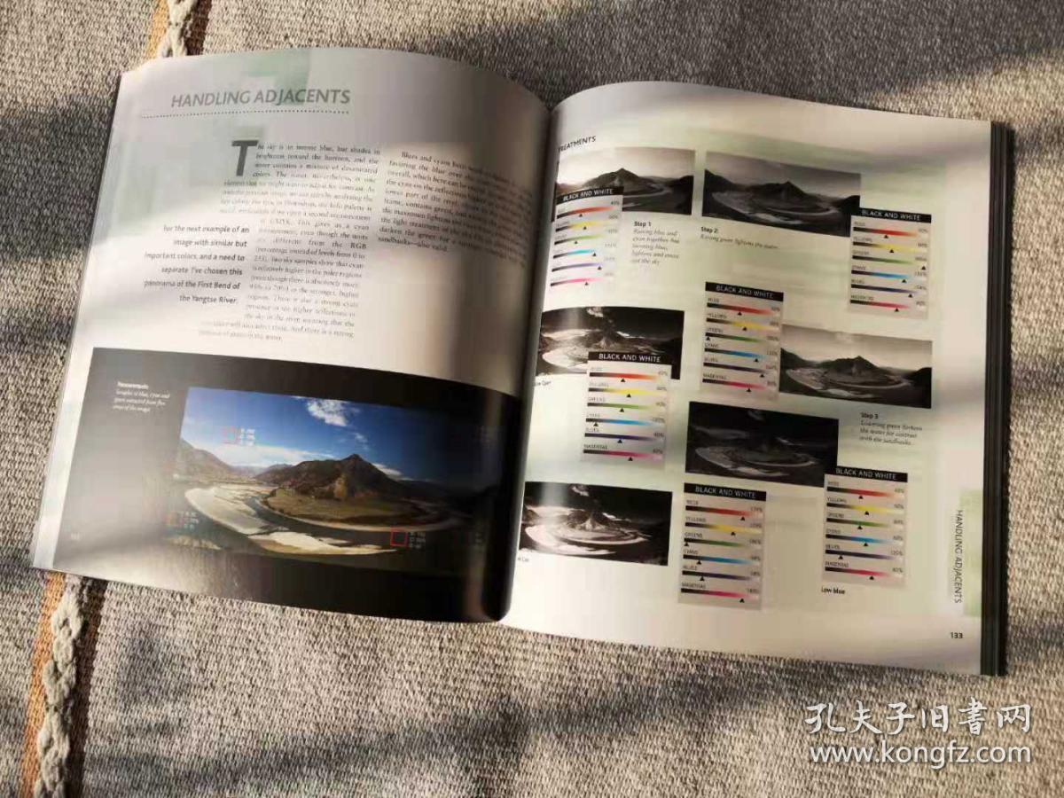 blacktowhite,blackwhite the complete guide to black & white digital photography 英文原版