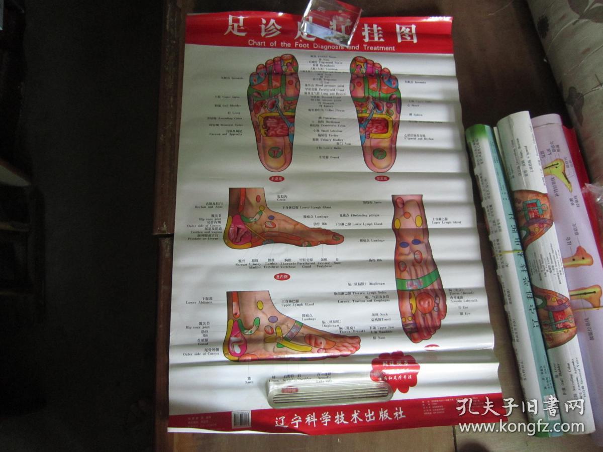 足诊足疗挂图