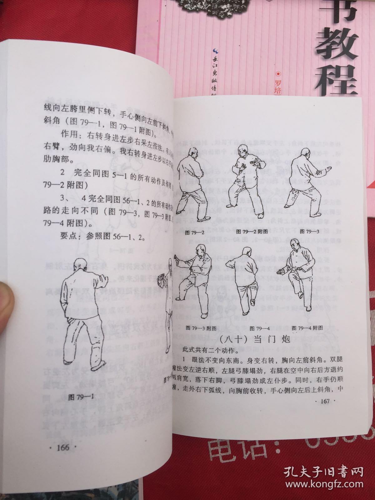 陈氏太极拳实用拳法