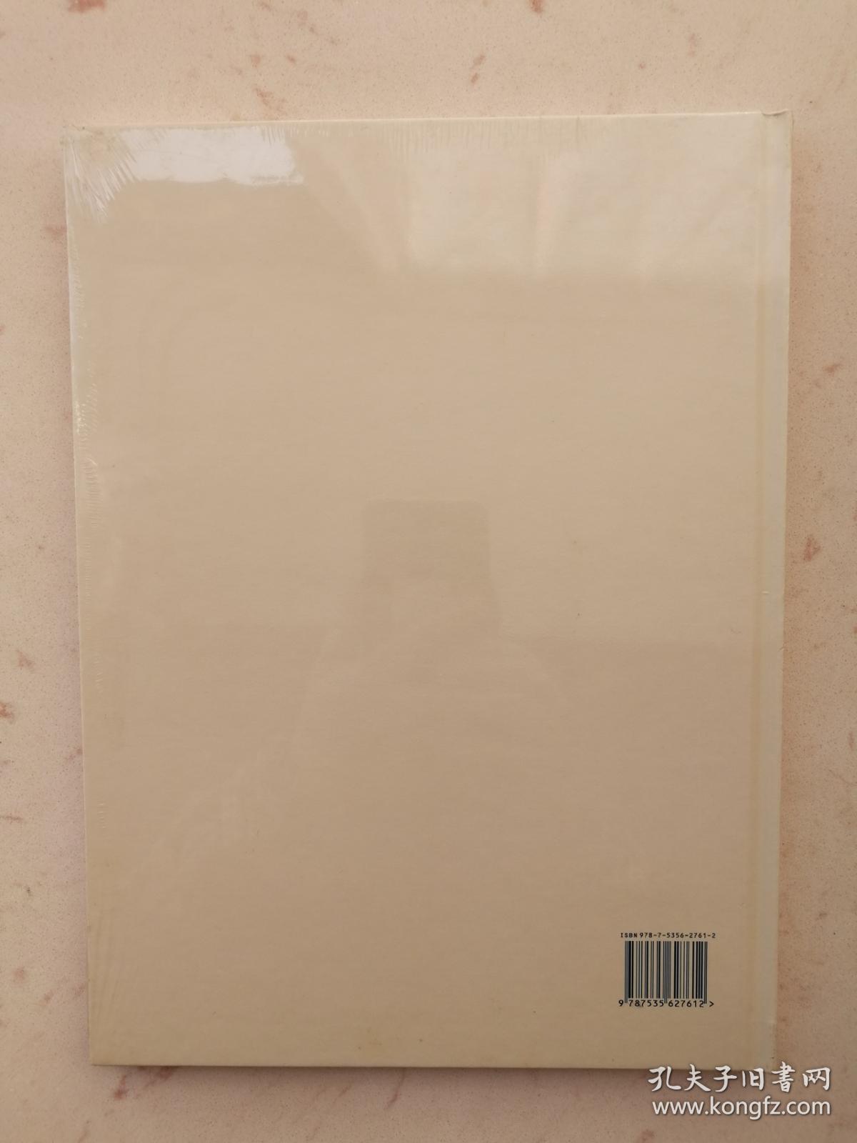 王音wang yin (大16开绘画油画集精装本) 湖南美术出版社 正版全新原