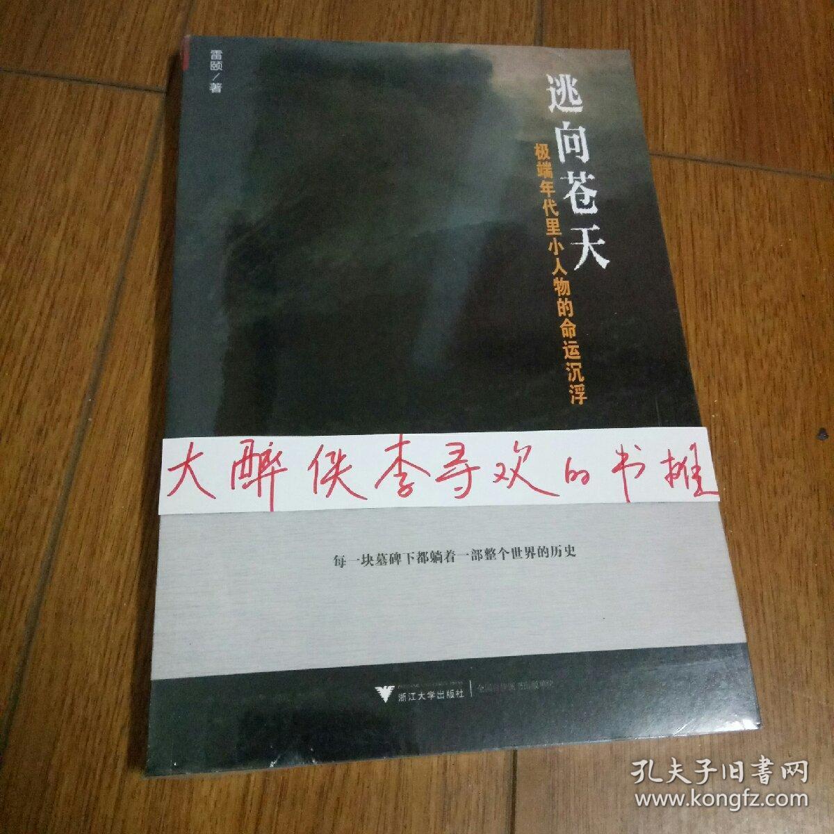 逃向苍天:极端年代里小人物的命运沉浮