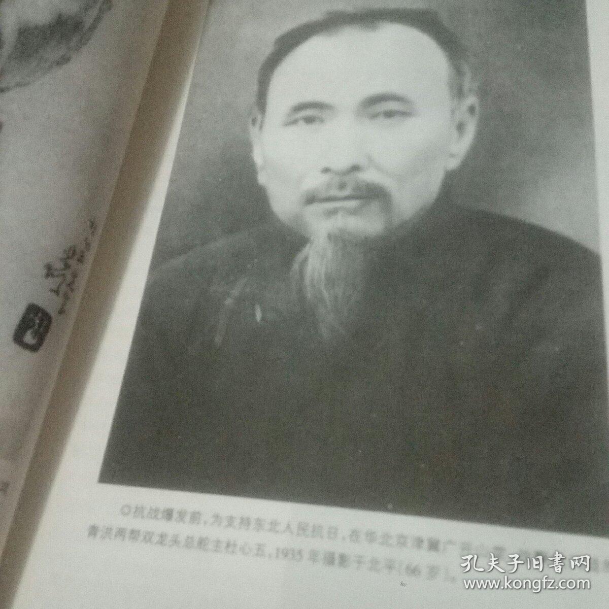 大侠杜心武传奇