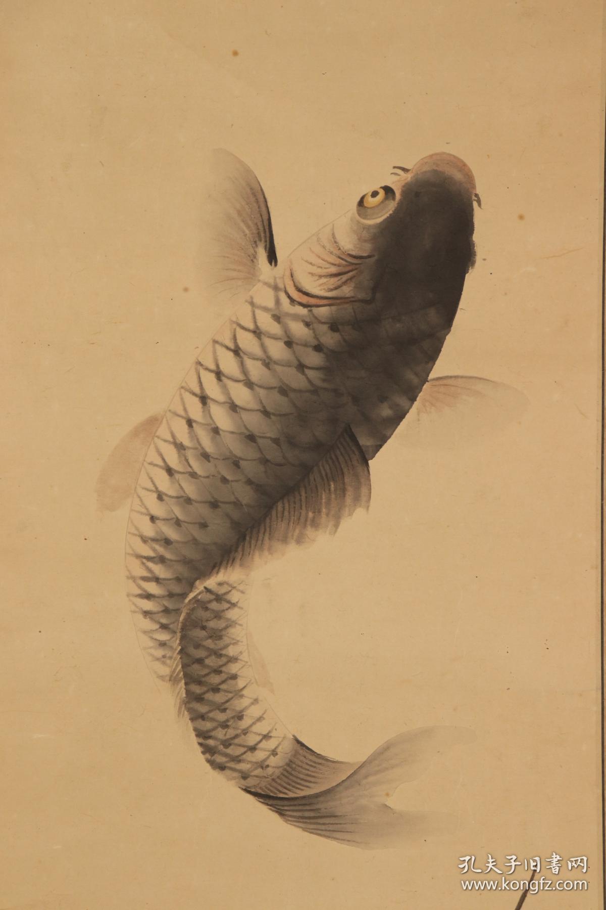 佚名老画-鲤鱼 ,日本回流字画,日本回流书画
