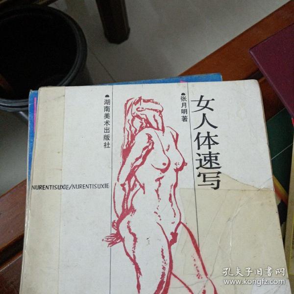 女人体速写