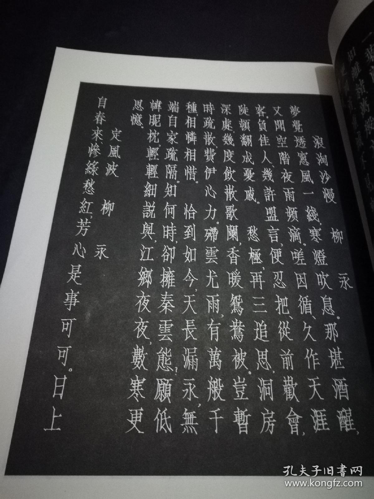 刘佳尚钢笔书法艺术欣赏【宋词仿宋,唐诗小楷】全两册合售(书法漂亮
