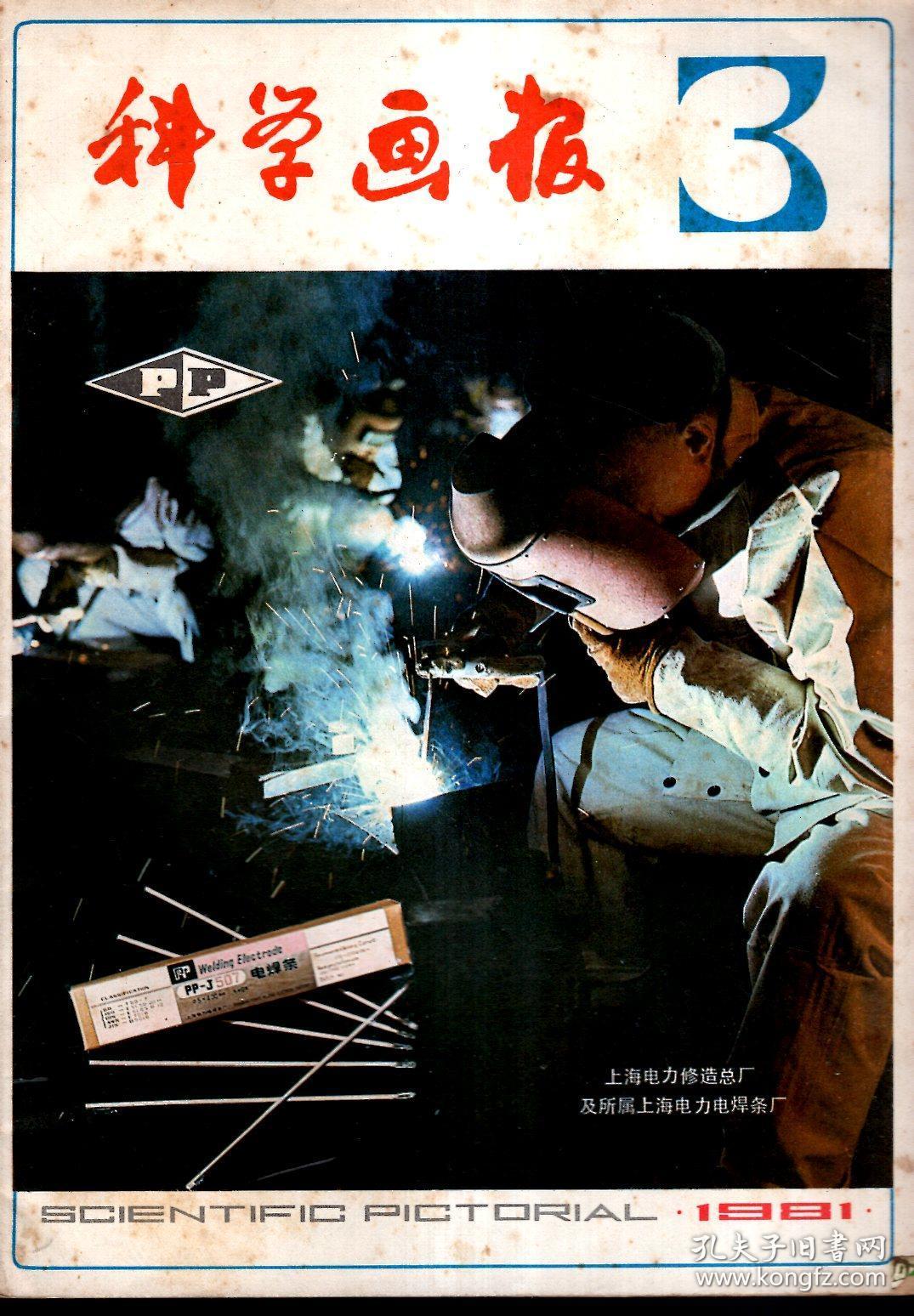科学画报1981年1—6月号.7册合售_上海科学技术出版社