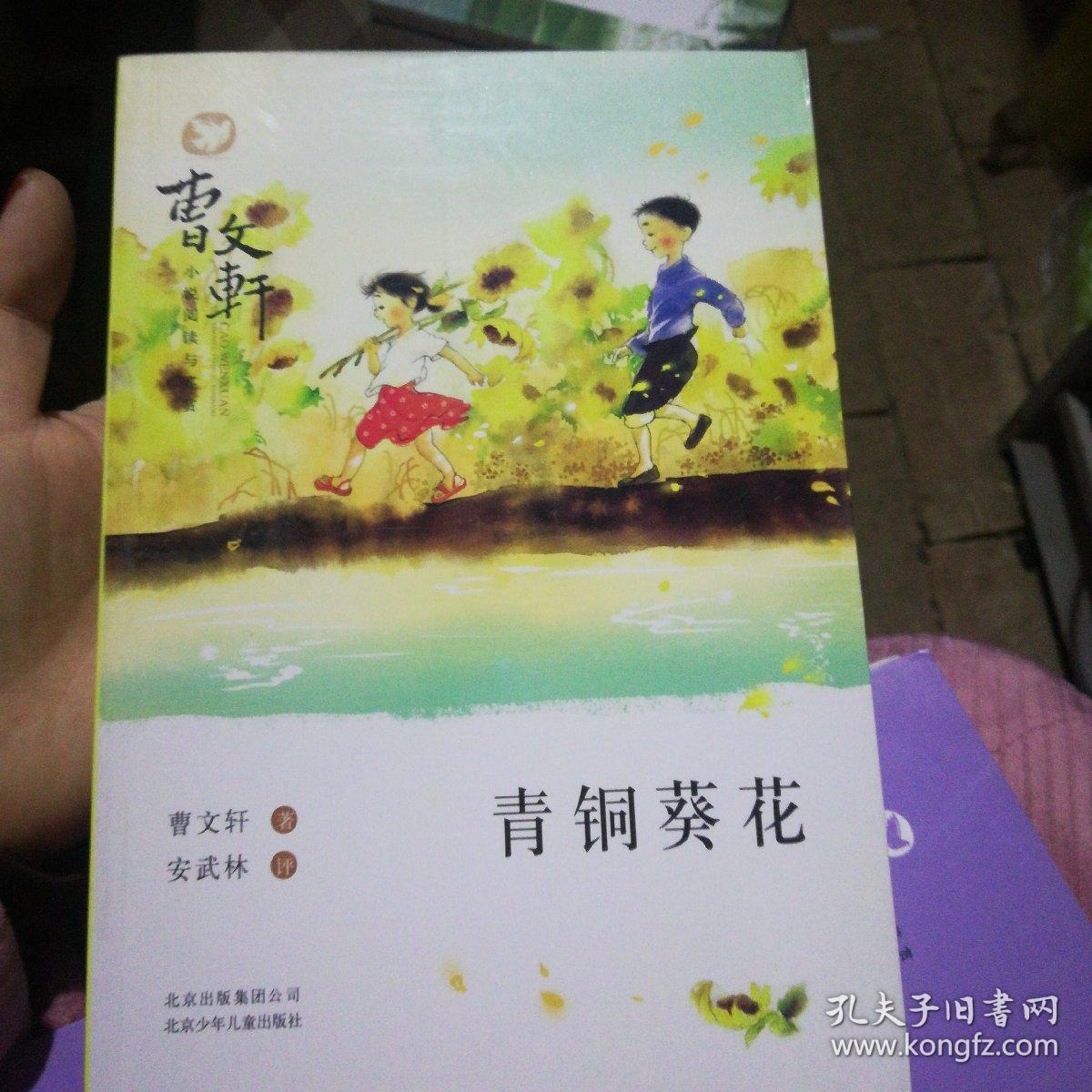 【正版现货】9787530139615 青铜葵花