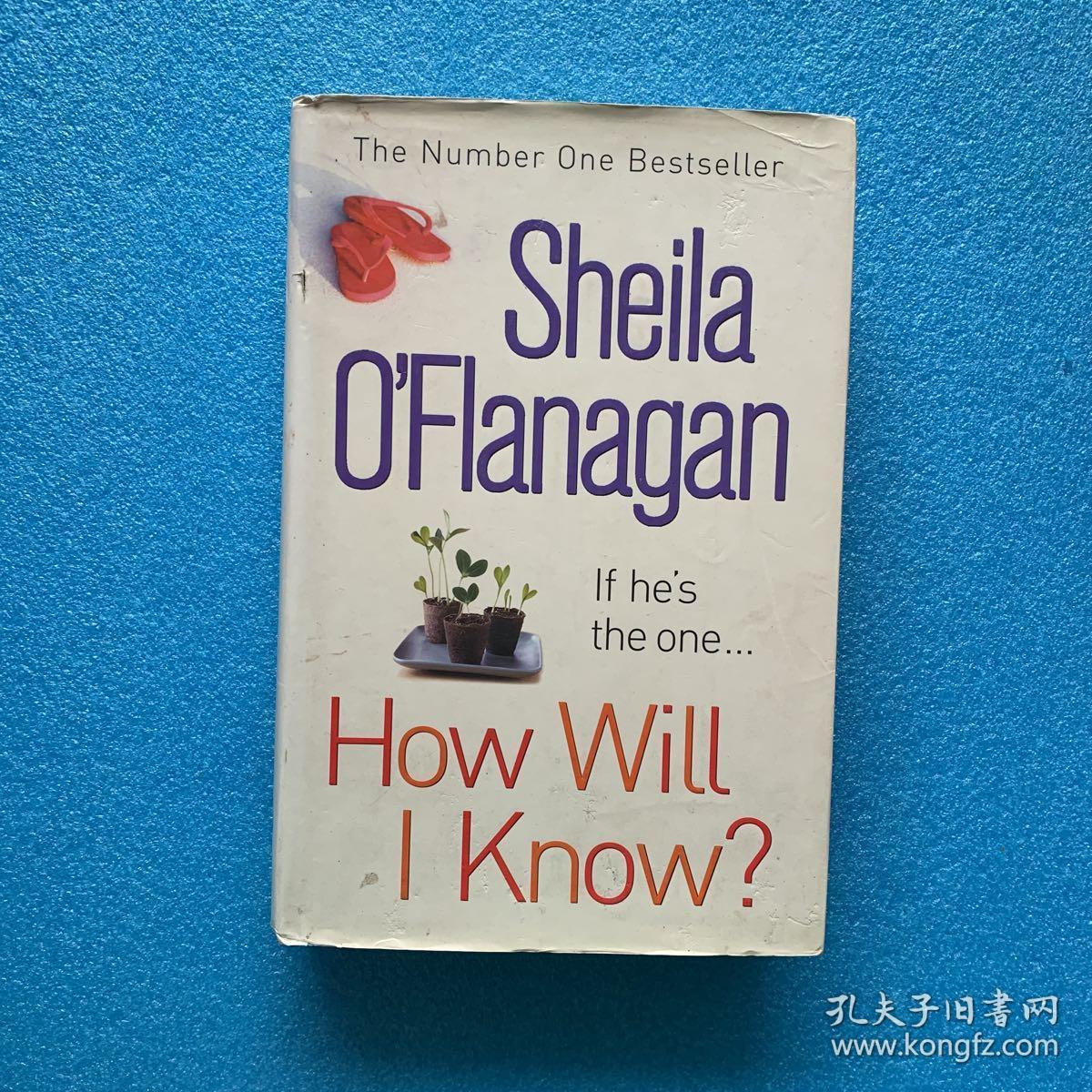 life affirming,lifeaffirming a life-affirming read of love