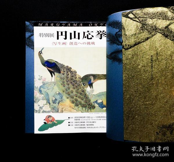 「现货」【圆山应举:写生画创造への挑戦 ( special exhibition