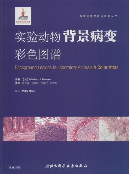 病变简谱_光遇病变简谱(3)