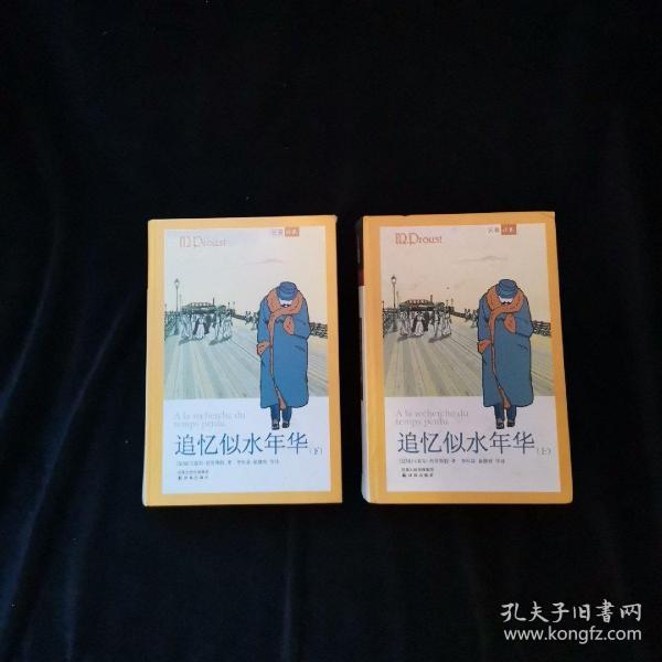 追忆似水年华(上下册)