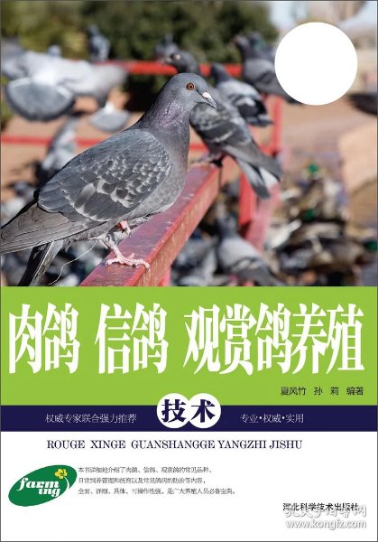 新手怎么养鸽子肉鸽还是信鸽 a93ff9c2859d2e9e_n.jpg