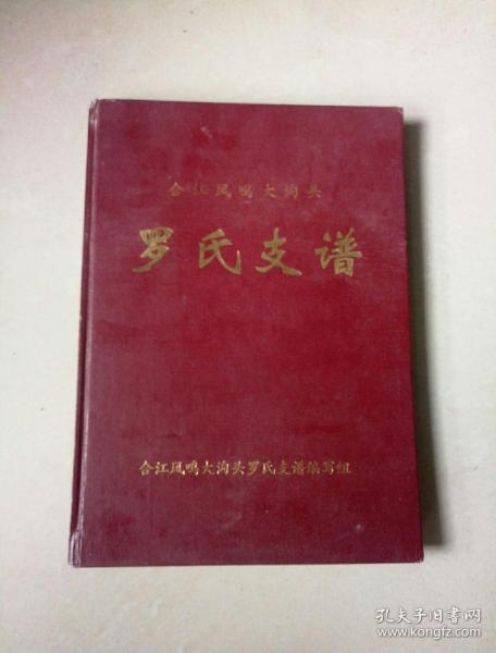 罗氏支谱(合江罗氏族谱)
