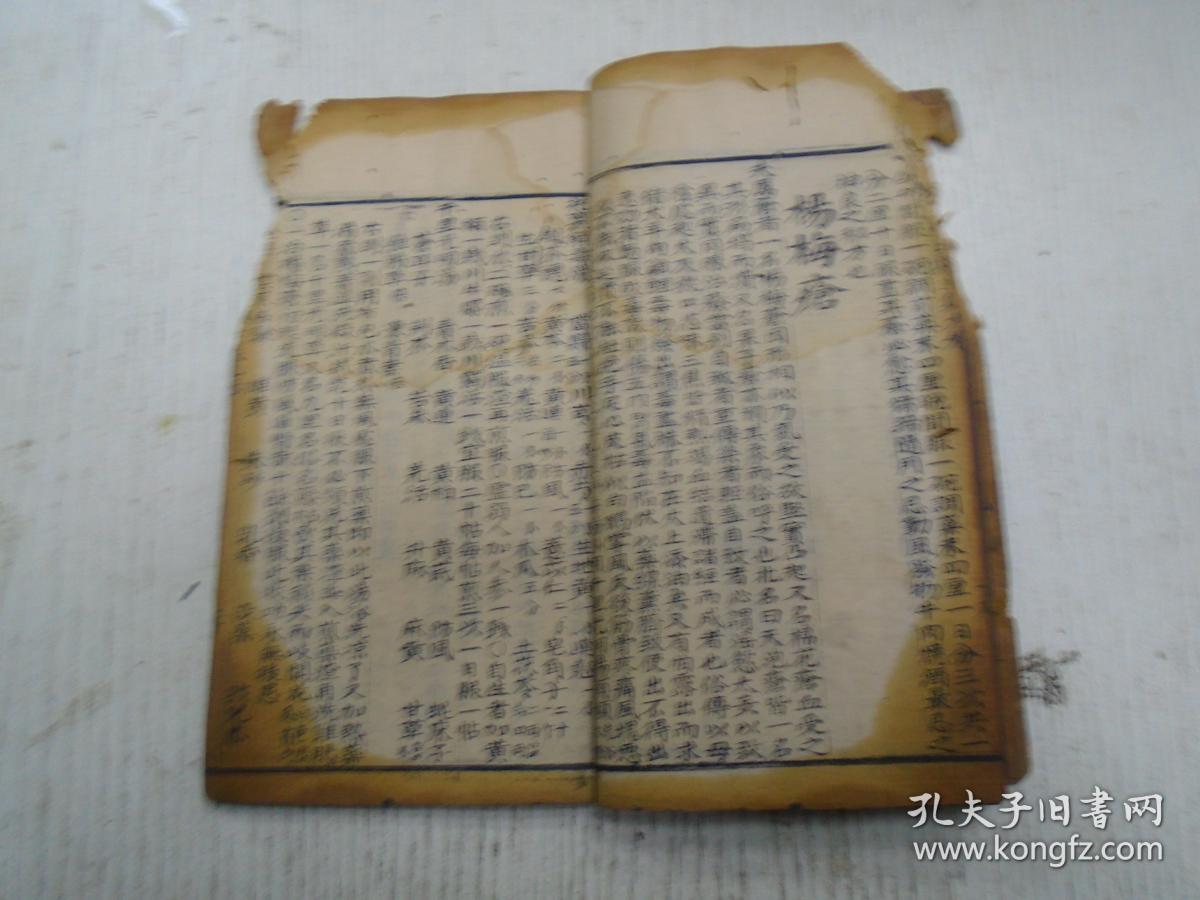 臀痈肠疽囊疽悬疽瘰疠疔疮便毒下疳杨梅疮疥疮癣疮秃疮癜风疠风臁疮诸