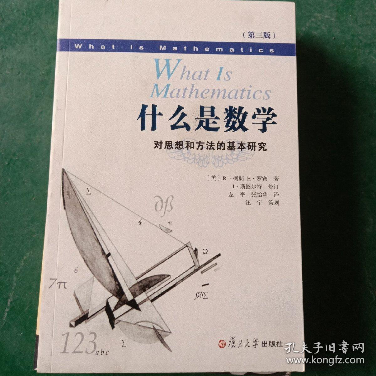 什么是数学:对思想和方法的基本研究(第3版)