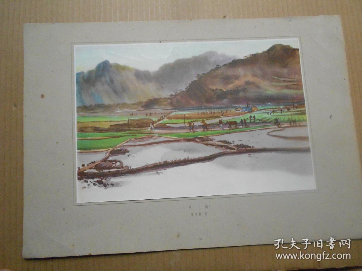 五十年代8开水彩画《水田》张举毅作 硬纸垫衬37.5x26