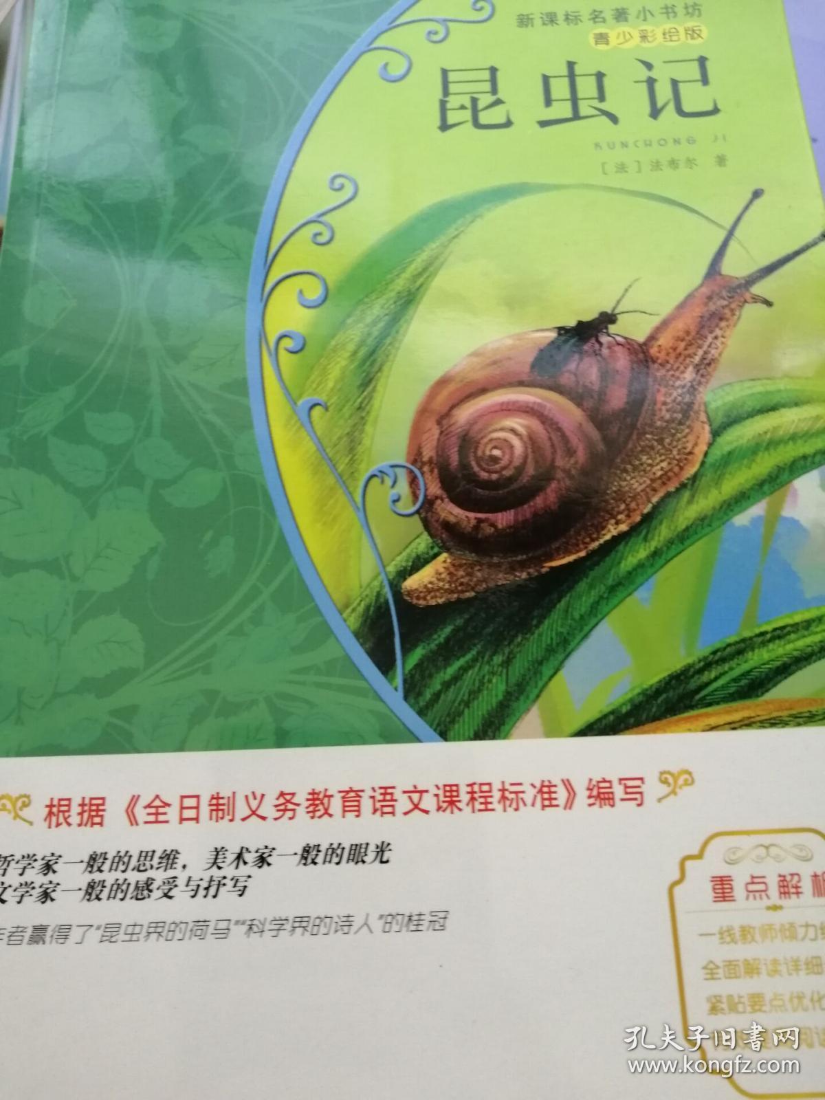 昆虫记/新课标名著小书坊·青少彩绘版