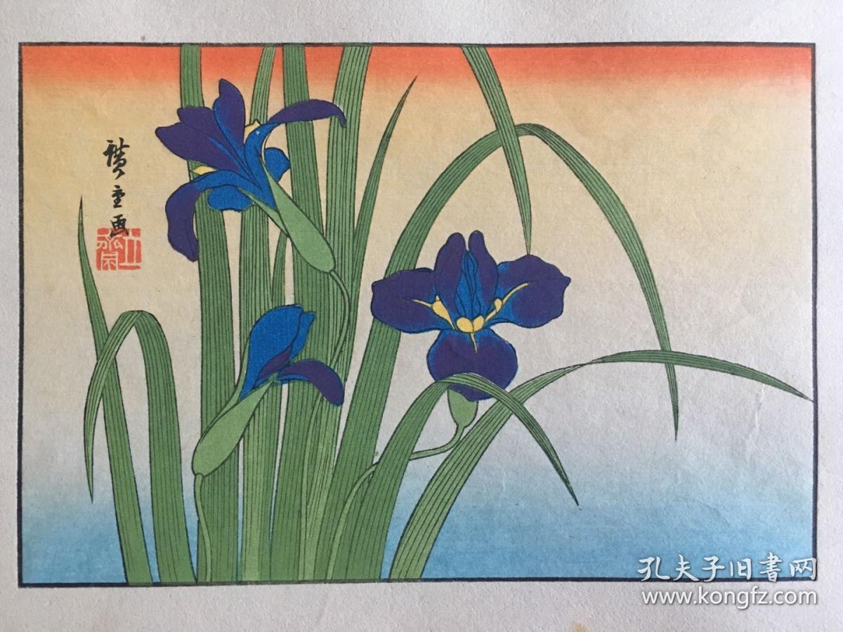 套色木版浮世绘《花菖蒲》一枚·歌川广重原作,近代翻刻手刷木版画