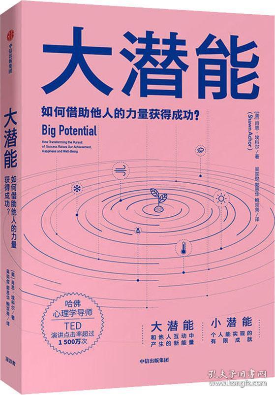 大潜能:如何借助他人的力量获得成功