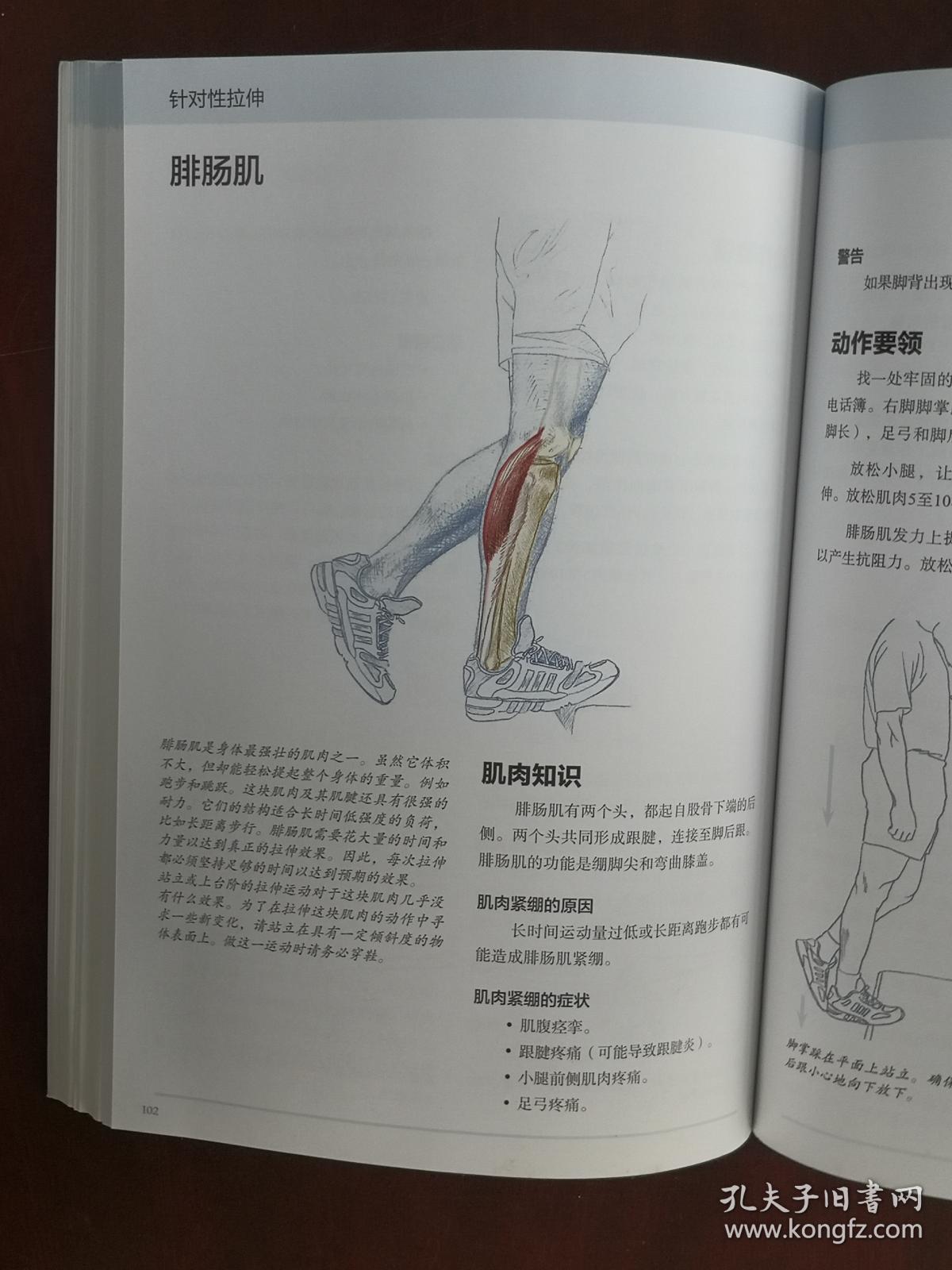 精准拉伸:疼痛消除和损伤预防的针对性练习